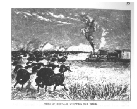 The Buffalo--1898. vist0028p